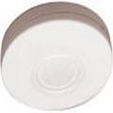 LOW PROFILE CEILING MOUNT DETECTOR IN BL
